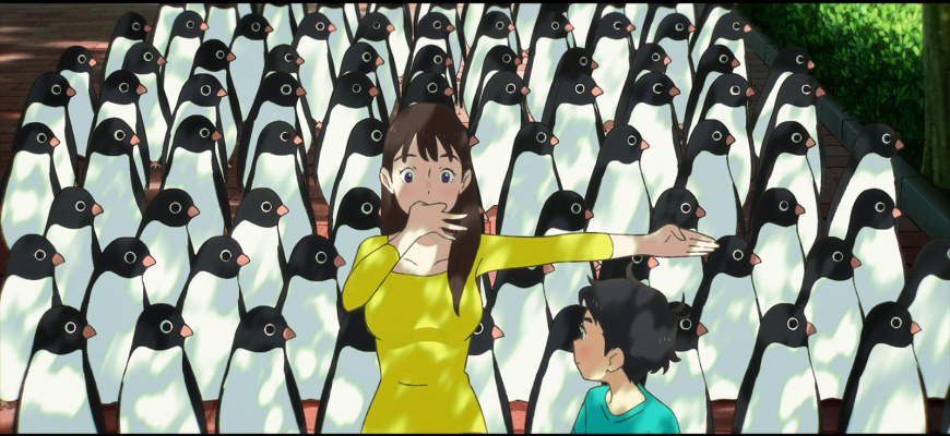 Le Mystère des pingouins Animation