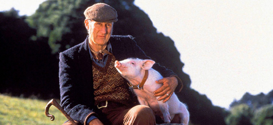Babe, le cochon devenu berger Comédie