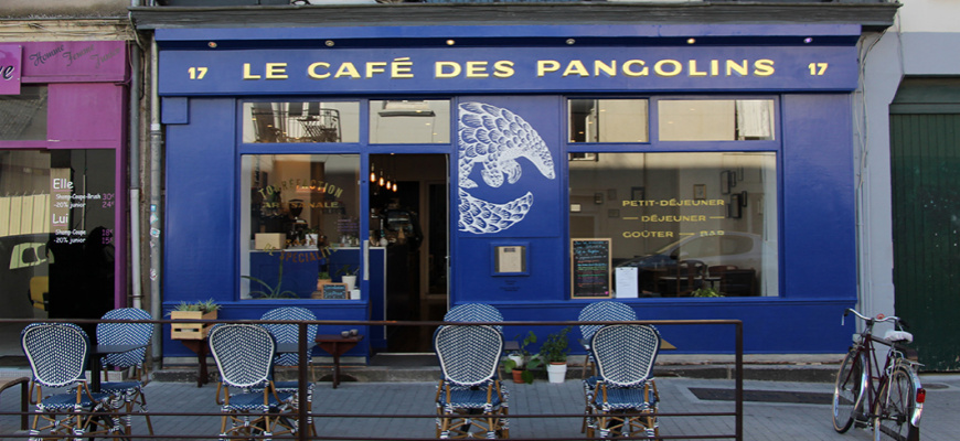 Le Café des pangolins Cosy