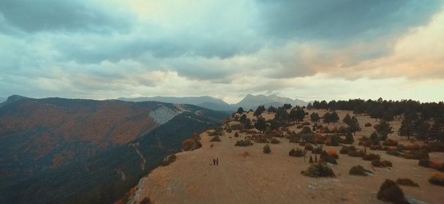 Et je choisis de vivre Documentaire