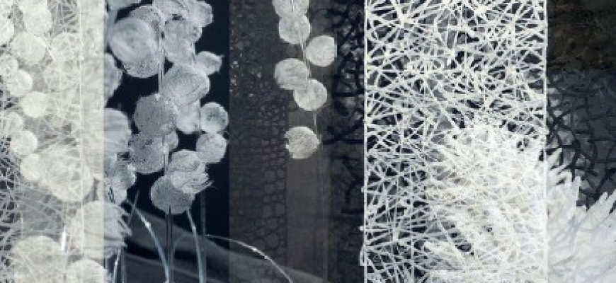 Nagare-Au fil de l'eau Art contemporain