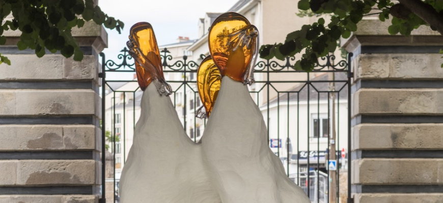 Glaner les germes Art contemporain