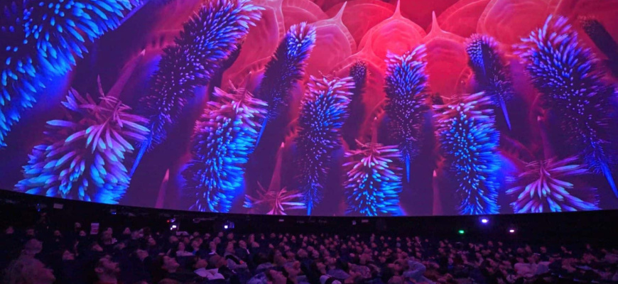 Quadriptyque immersif Numérique/multimedia
