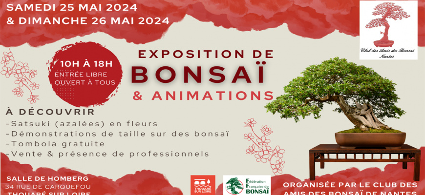 Exposition de Bonsaï Exposition collective