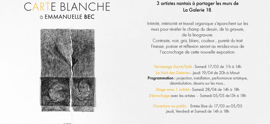 Carte blanche à Emmanuelle Bec Art contemporain