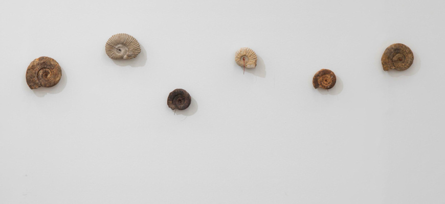 Gloria Friedmann - Combien de terres faut-il à l’homme ? / Voyage à Nantes Art contemporain