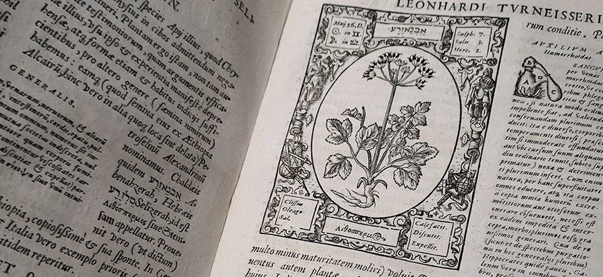 Les livres s'exposent Histoire