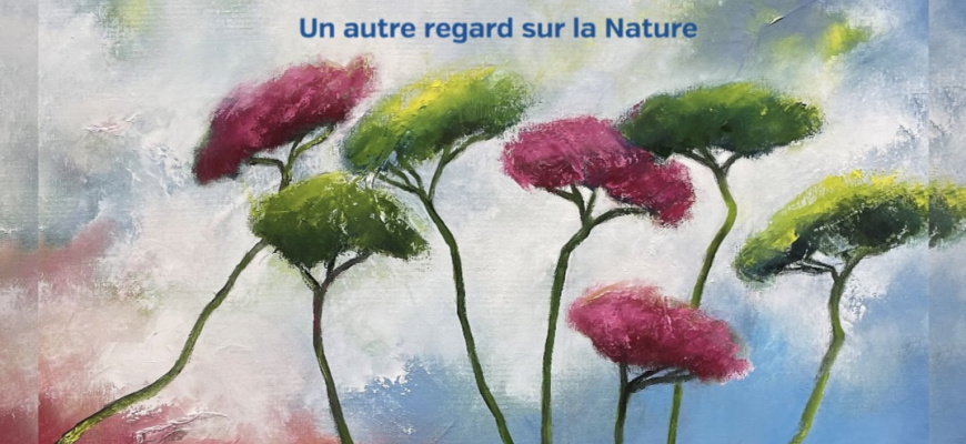 Un autre regard sur la nature Art contemporain