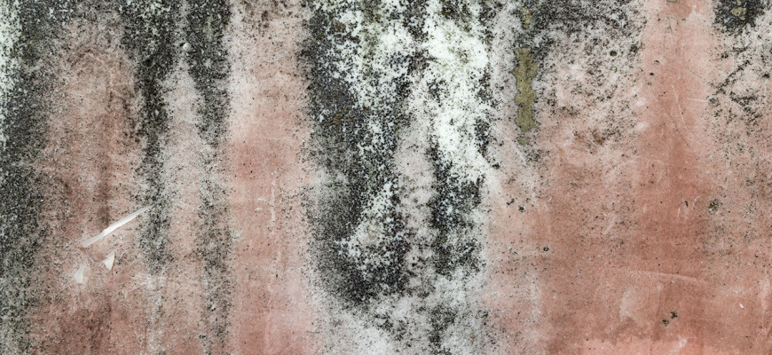 Joris Héraclite Valenzuela - Animitas Art contemporain