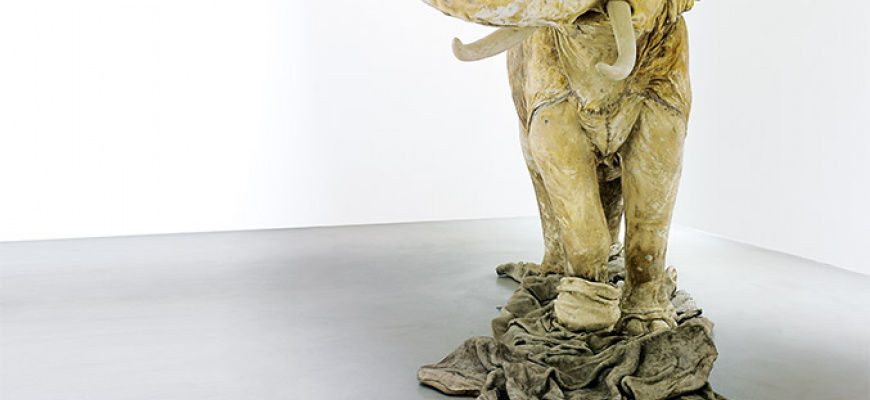 Les Mues / Huang Yong Ping Art contemporain