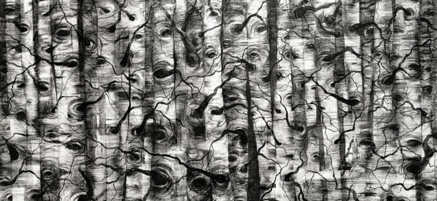 Rhizomes Art contemporain