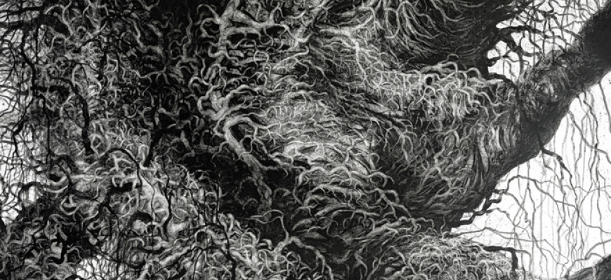 Rhizomes Art contemporain