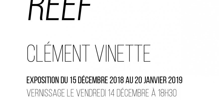 Sanganeb Reef - Clément Vinette Art contemporain