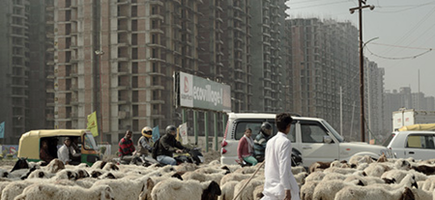 Décryptages - Now Delhi, les 30 désastreuses Photographie