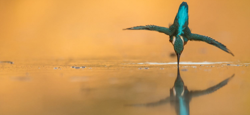 Erwan Balança - Martin, le pêcheur Photographie