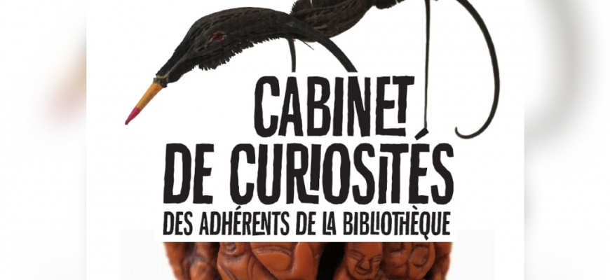 Cabinet de Curiosités  Exposition collective