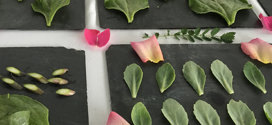 Ateliers enfants / Crée une peinture aromatique ! Atelier/Stage