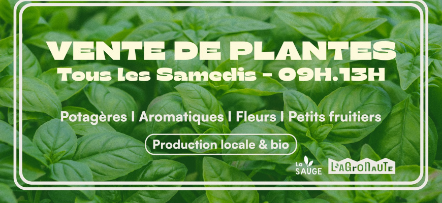 Vente de plantes à la ferme Marché/Vente
