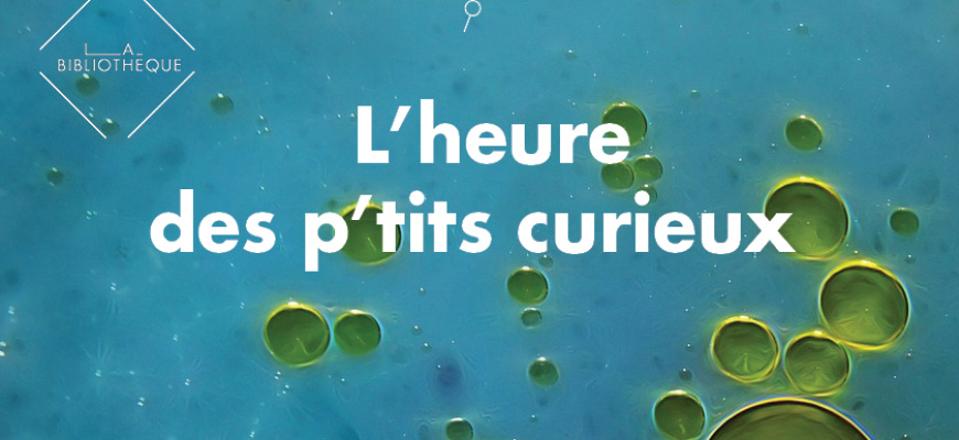 L'heure des p'tits curieux Atelier/Stage