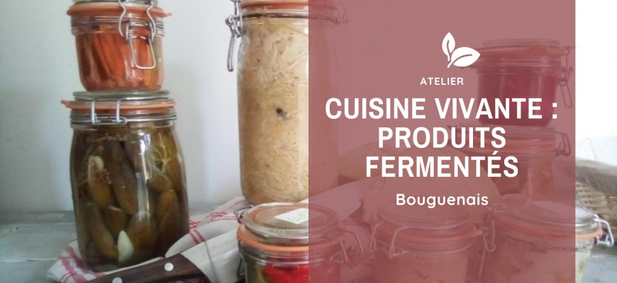 Choucroute et condiments fermentés Atelier/Stage
