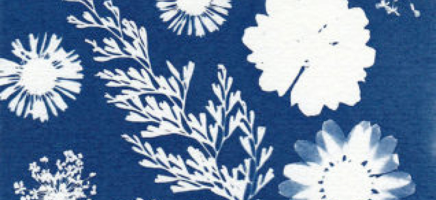 Ateliers enfants - Cyanotype Atelier/Stage