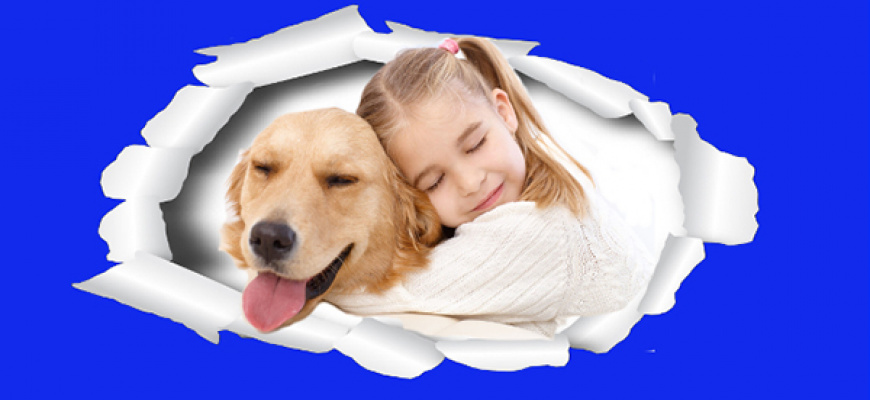 Expo canine Salon