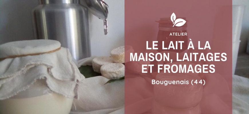 Le lait à la maison, laitage et fromage Atelier/Stage