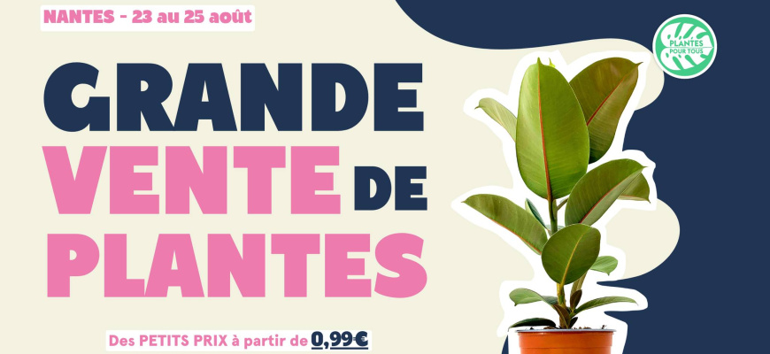 Grande vente de plantes Soirée