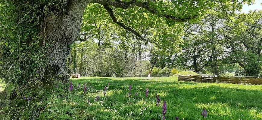 A la découverte du Château, de sa faune et de sa flore Visites et sorties