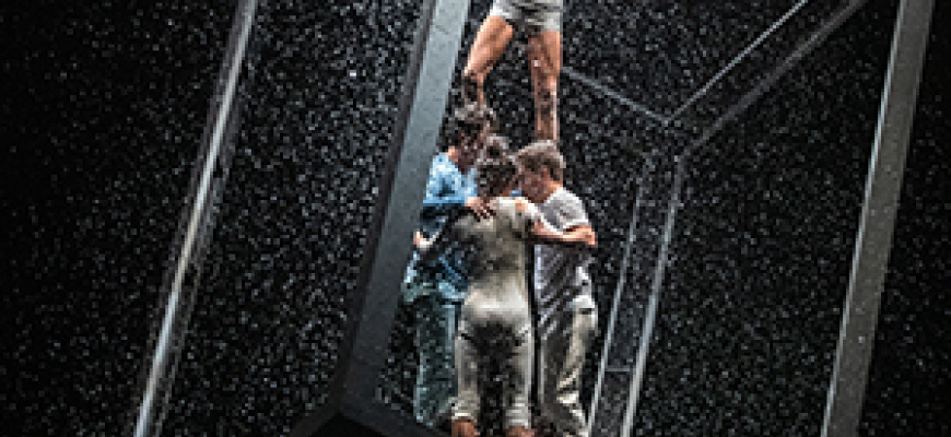 Blizzard | FLIP Fabrique Cirque