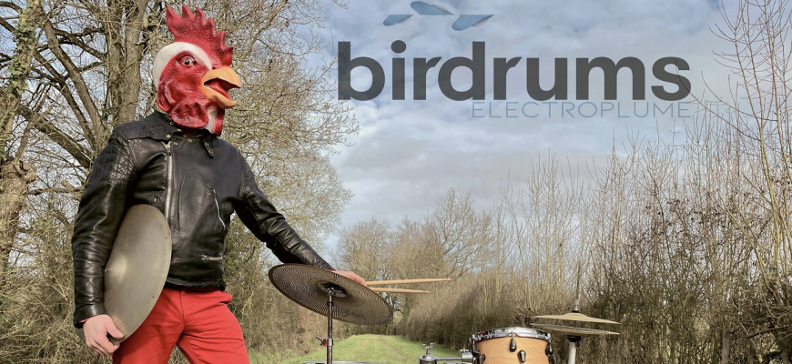 Electroplume - Birdrums kid  Jazz/Blues