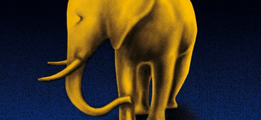 le Beau Label : Cracki Records : Agar Agar + ... Electro