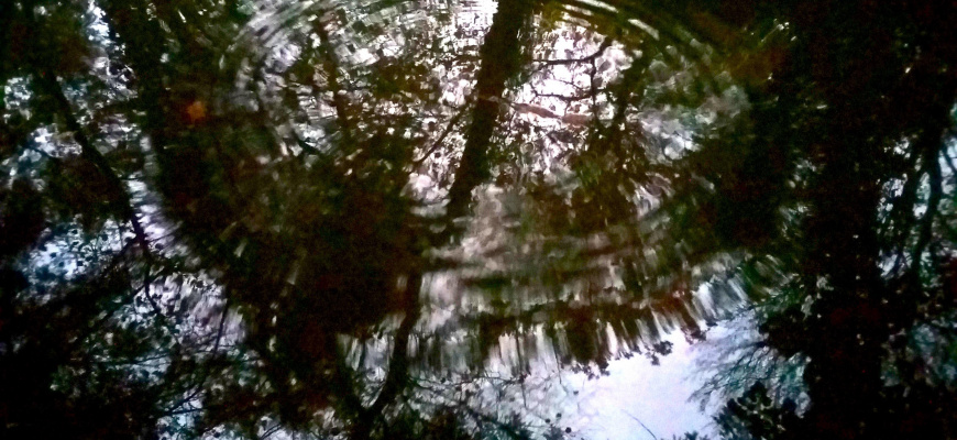 Eaux souterraines Musique traditionnelle