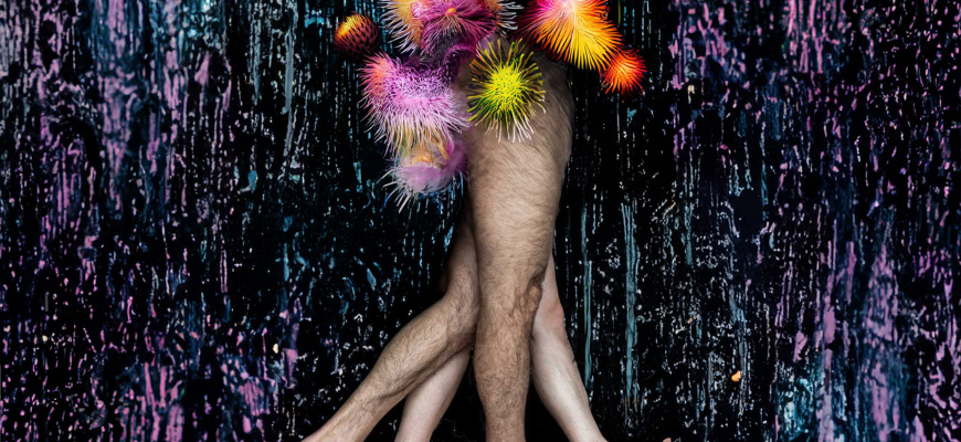 every_body - Alexander Vantournhout Danse