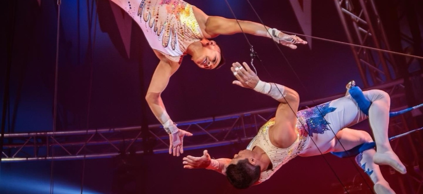 Les marchands de rêve Nicolas Zavatta Douchet de retour pour l&#039;été Cirque