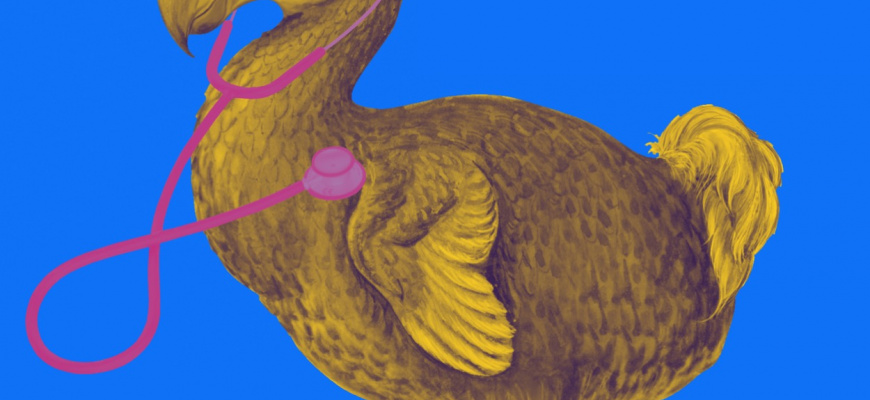 L'envol du dodo Théâtre