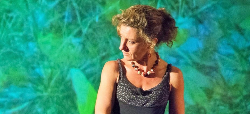 Les champs modernes - Caroline Avenel Conte