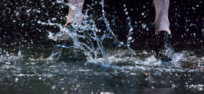 Sfumato Danse