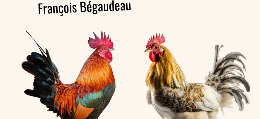 Ta rage n&#039;aura pas de fin Théâtre