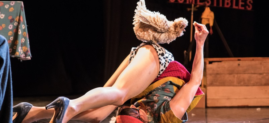 Voler dans les plumes Cirque