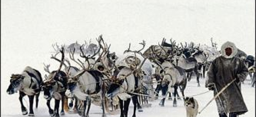 La Sibérie ou la conquête du Far-East russe 