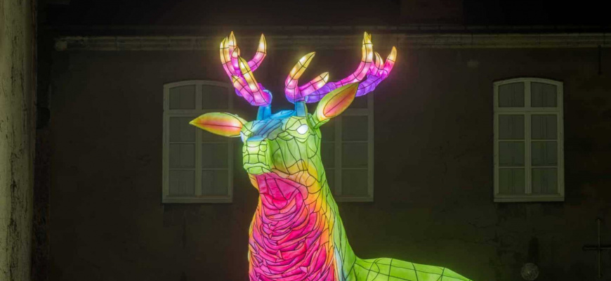 Noël approche, découvrez les animations du voyage en hiver 