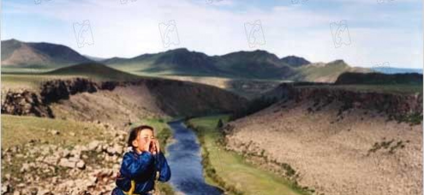 Le chien jaune de Mongolie 
