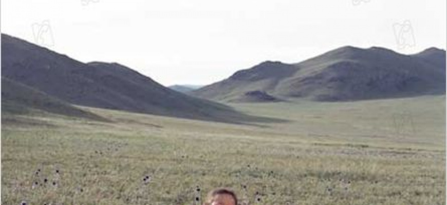 Le chien jaune de Mongolie 