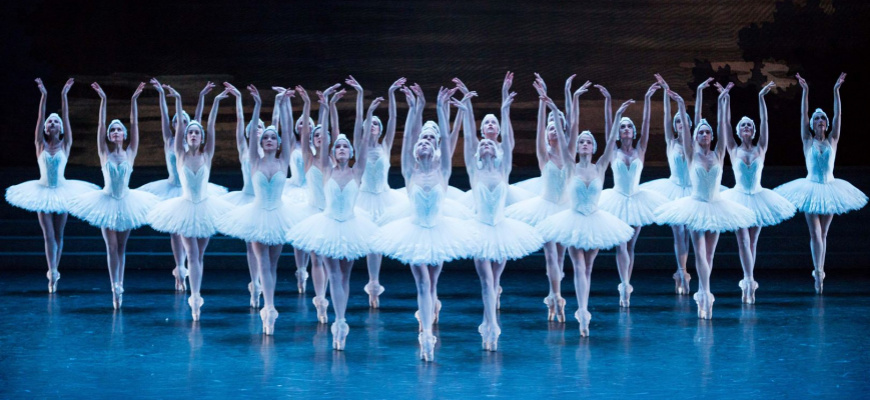 Le Lac des cygnes (Opéra de Paris) Ballet