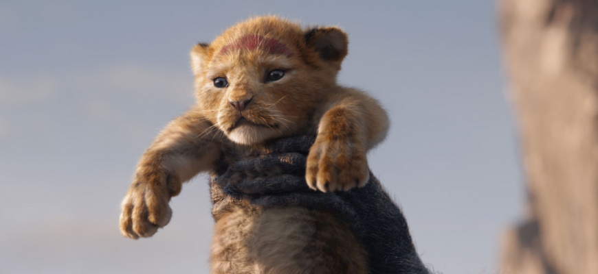 Le Roi Lion Famille