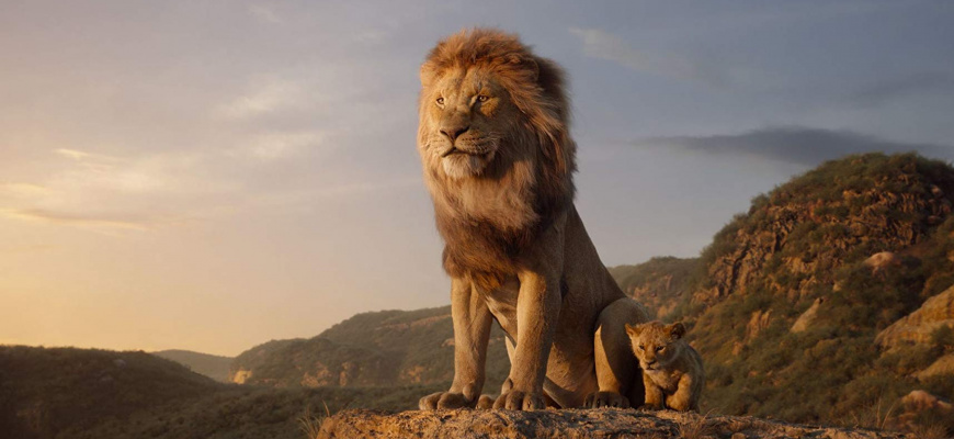 Le Roi Lion Famille