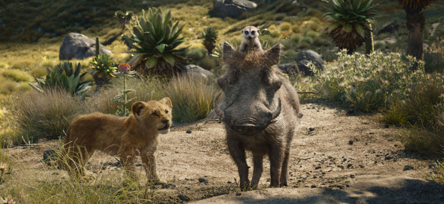 Le Roi Lion Famille