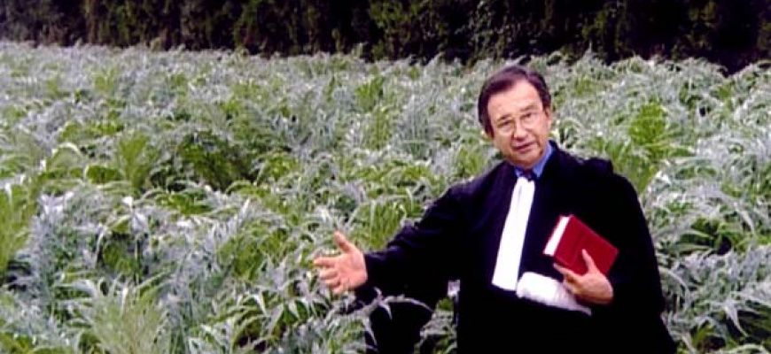 Les glaneurs et la glaneuse Documentaire