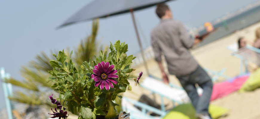 QG Beach Restaurant de plage